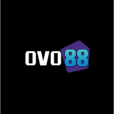OVO88 - Aplikasi Berita Ekonomi Bisnis Terkini